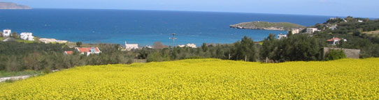 Crete