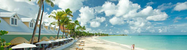 Caribbean & North America
