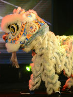 Dragon dancing