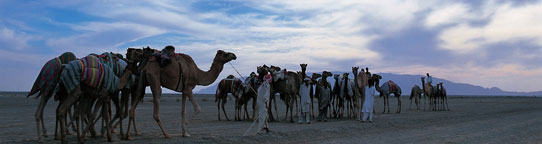 Middle East & Africa